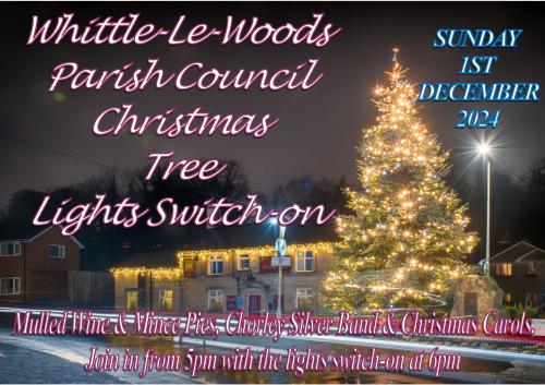 Christmas Lights Switch On - Sunday 1st December, Waterhouse Green, from 5pm